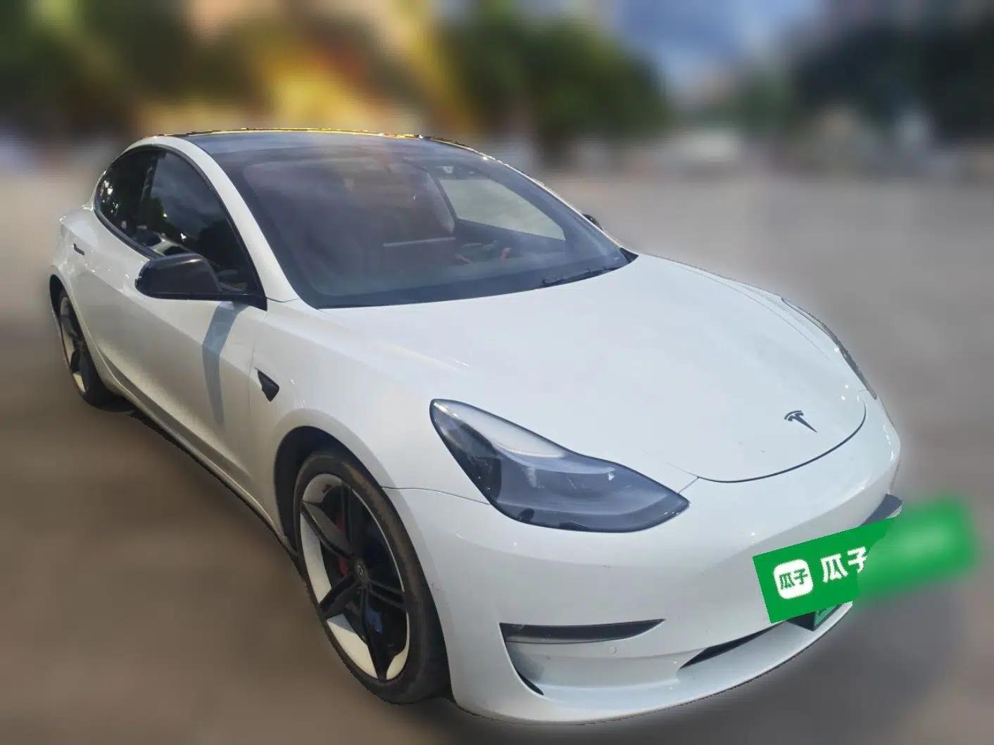Tesla Model 3 2021 Performance High-Performance All-Wheel-Drive Version — миниатюра 3