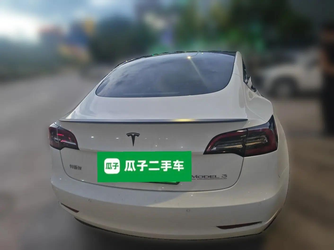 Tesla Model 3 2021 Performance High-Performance All-Wheel-Drive Version — миниатюра 5