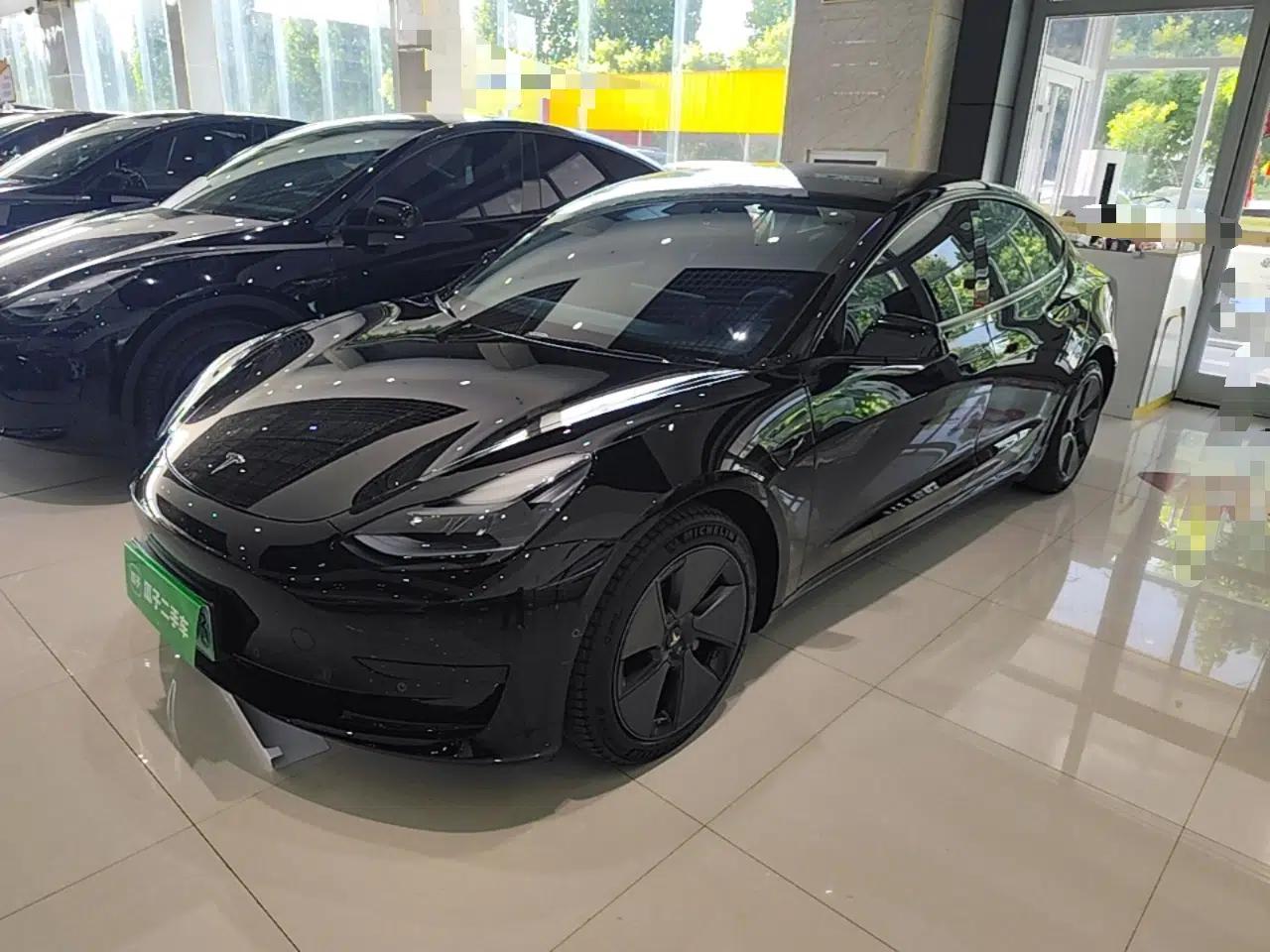 Tesla Model 3 2022 Rear-Wheel-Drive Version — миниатюра 1