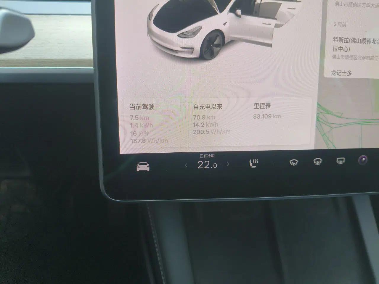 Tesla Model 3 2021 Standard Range Rear-Drive Upgraded Version — миниатюра 12