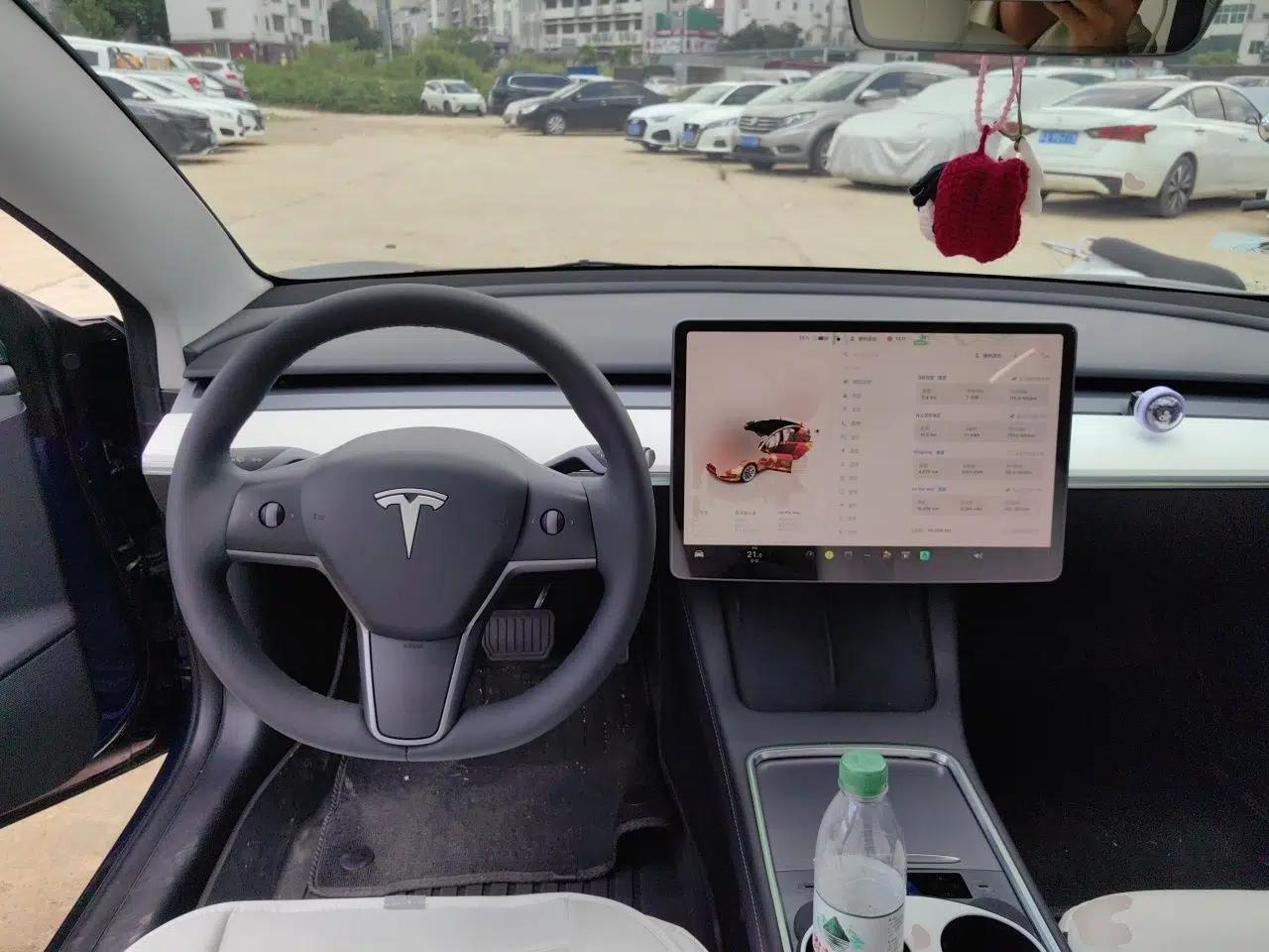Tesla Model 3 2022 Rear-Wheel-Drive Version — миниатюра 10