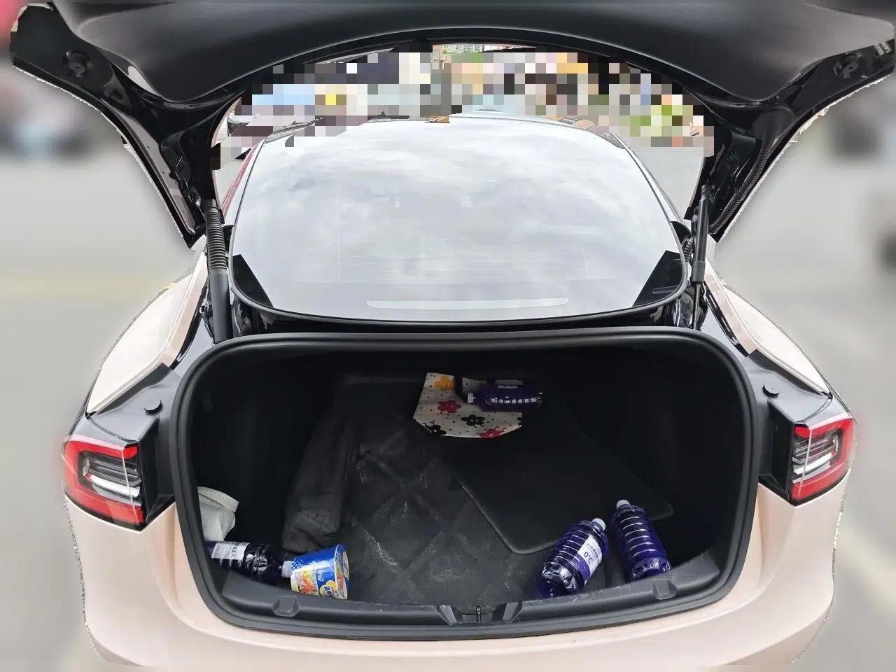 Tesla Model 3 2022 Rear-Wheel-Drive Version — миниатюра 19