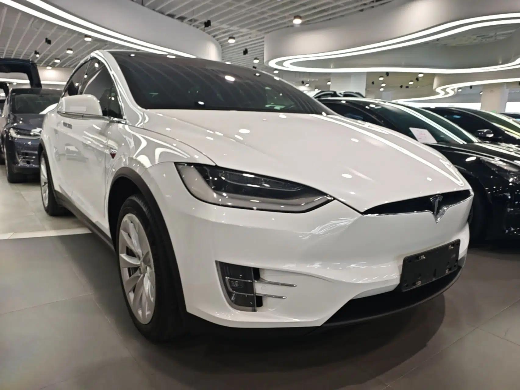 Tesla Model X 2020 Long-Range Upgrade Version — миниатюра 3