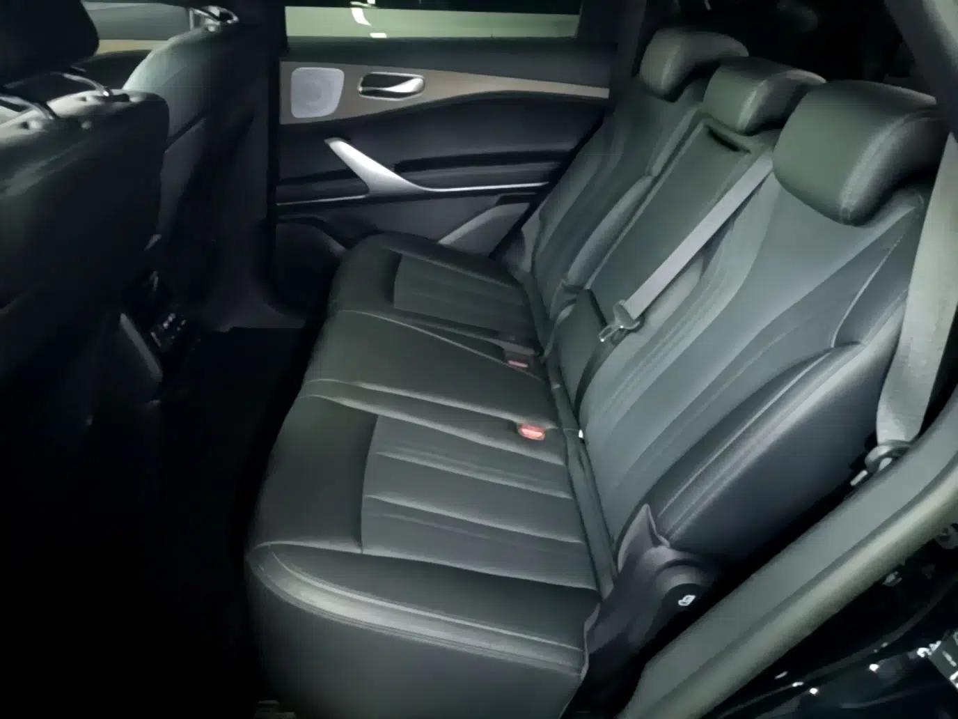 Denza X 2020 PHEV Classic Edition — миниатюра 28