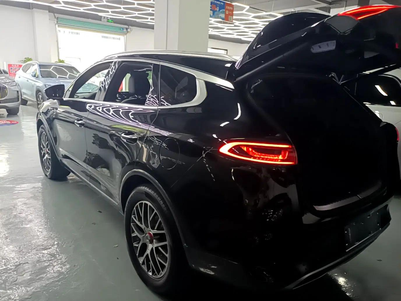 Denza X 2020 PHEV Classic Edition — миниатюра 4