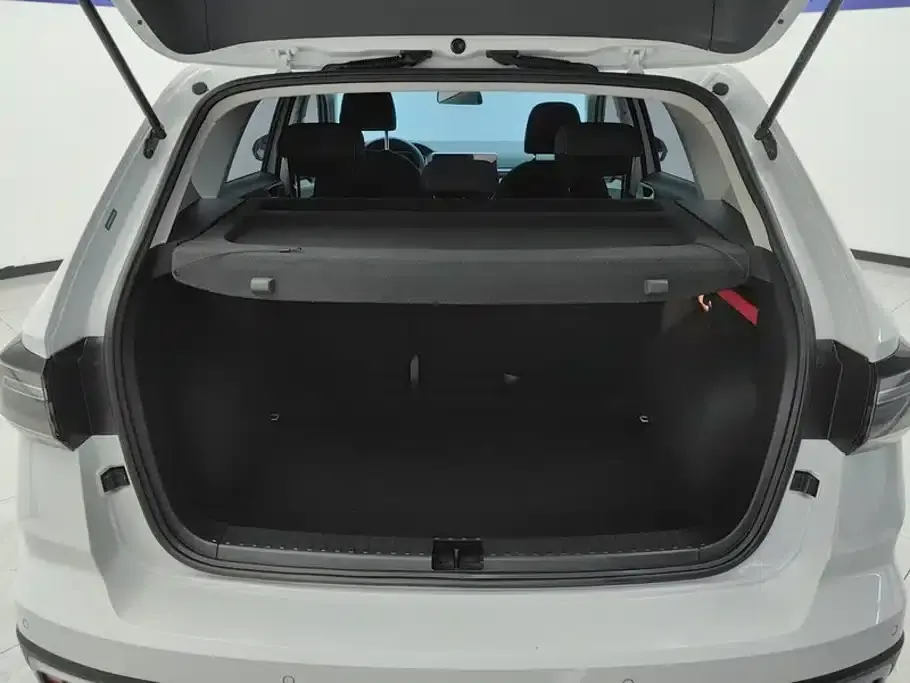 Tharu 2024 300TSI 2WD New Moon Edition — миниатюра 4
