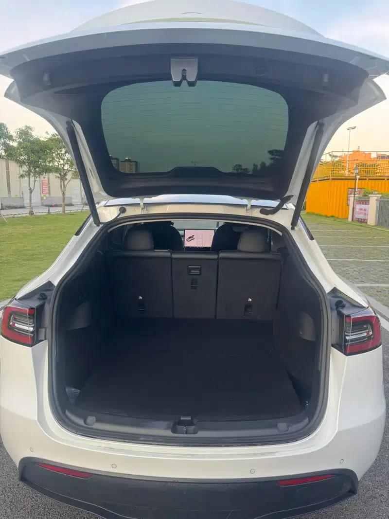 Model Y 2021 Standard Range Rear-Wheel Drive — миниатюра 14