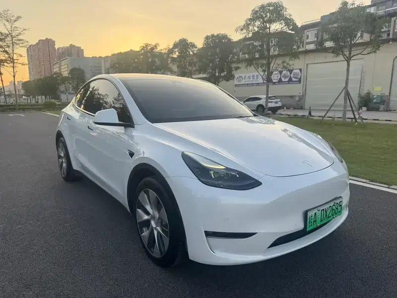 Model Y 2021 Standard Range Rear-Wheel Drive — миниатюра 3