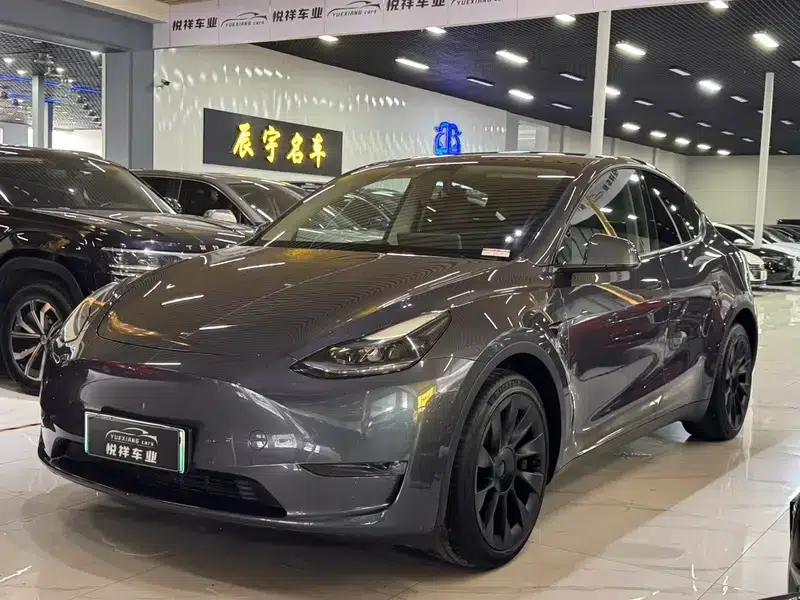 Model Y 2021 Long Range All-Wheel Drive — миниатюра 1