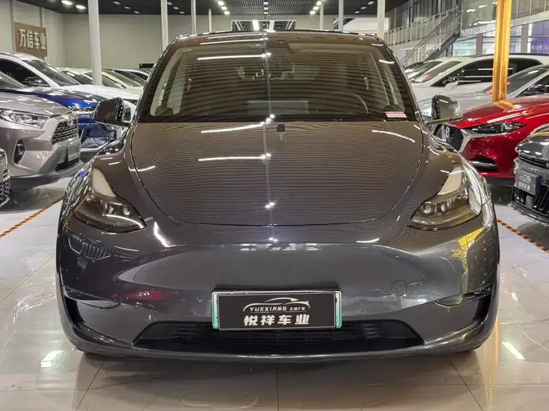 Model Y 2021 Long Range All-Wheel Drive — миниатюра 2