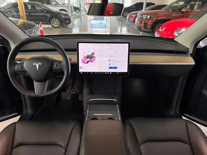Model Y 2021 Long Range All-Wheel Drive — миниатюра 16