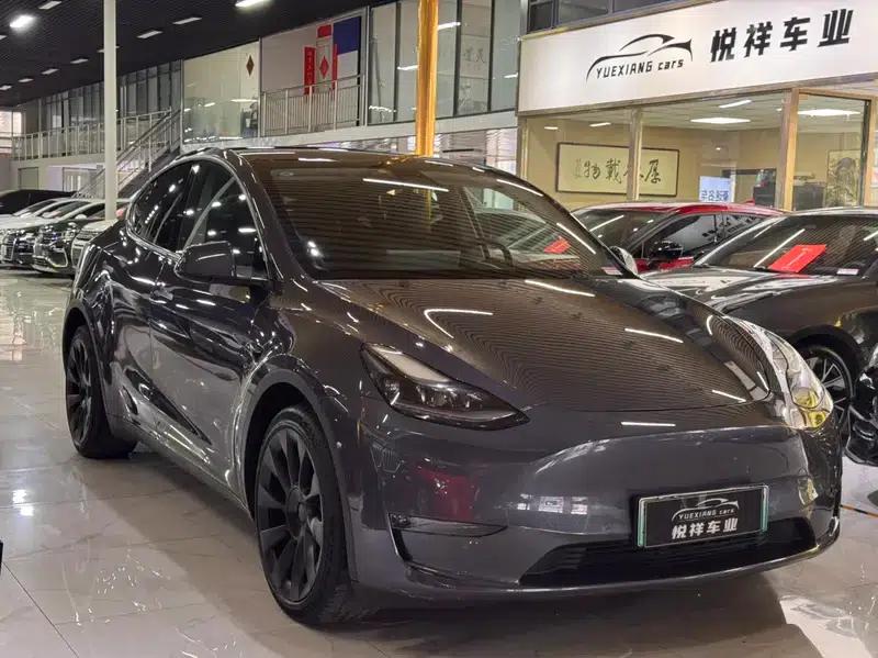 Model Y 2021 Long Range All-Wheel Drive — миниатюра 3