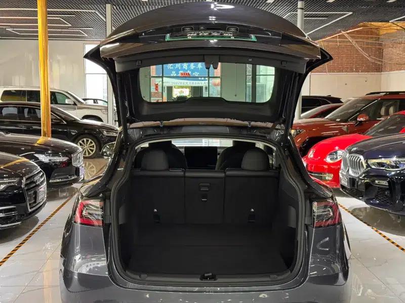 Model Y 2021 Long Range All-Wheel Drive — миниатюра 21