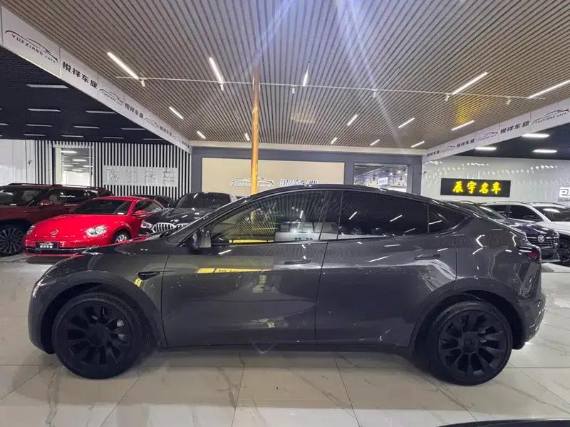 Model Y 2021 Long Range All-Wheel Drive — миниатюра 4