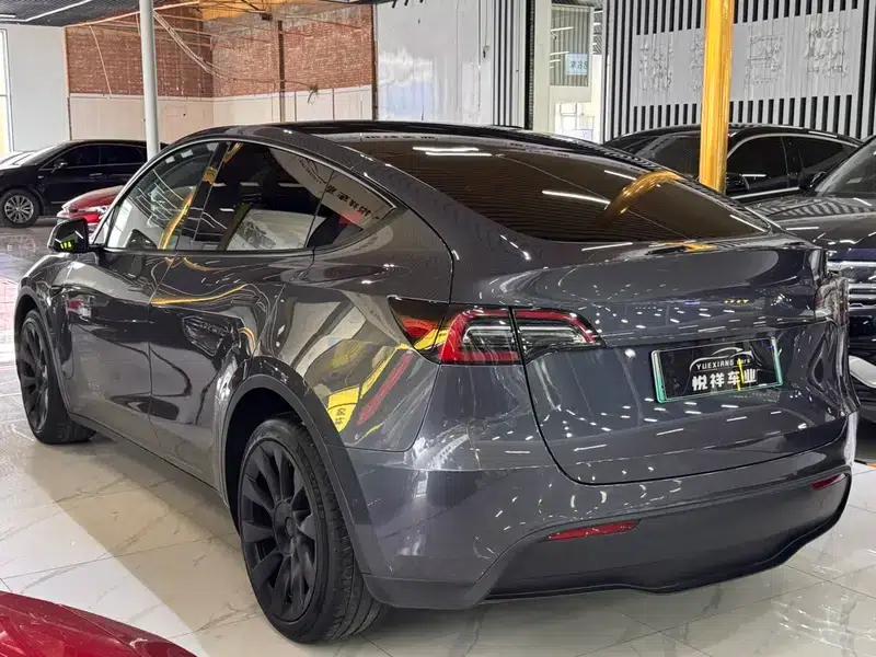Model Y 2021 Long Range All-Wheel Drive — миниатюра 5