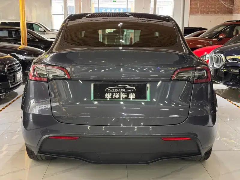 Model Y 2021 Long Range All-Wheel Drive — миниатюра 6