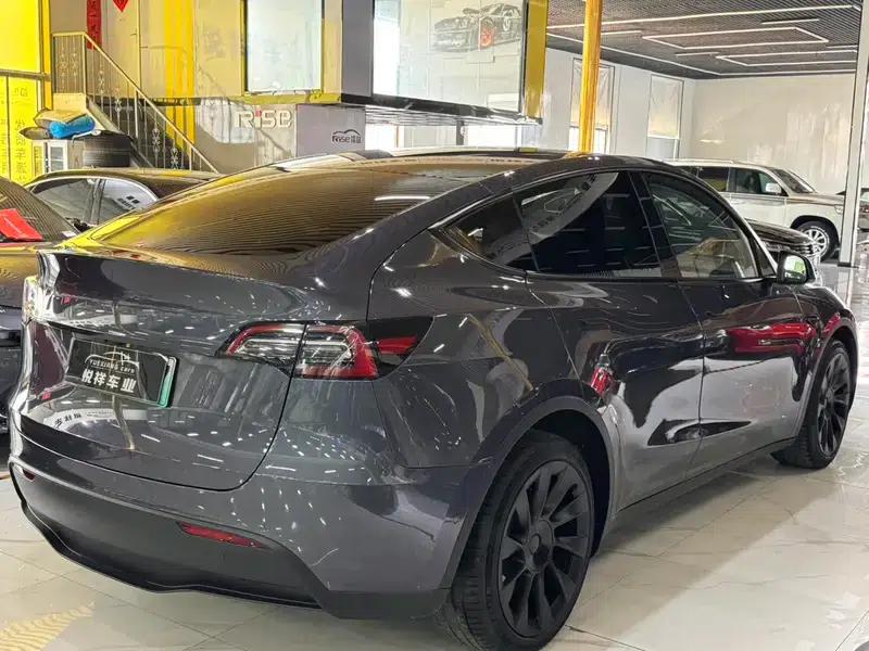 Model Y 2021 Long Range All-Wheel Drive — миниатюра 7