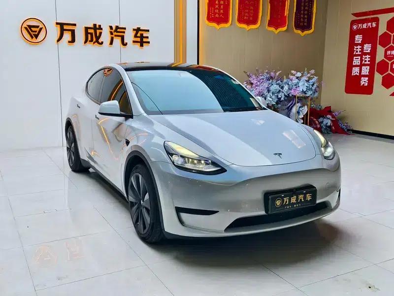 Model Y 2022 Rear-Wheel Drive — миниатюра 3