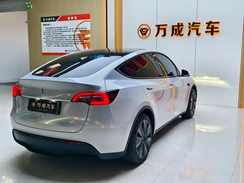 Model Y 2022 Rear-Wheel Drive — миниатюра 6