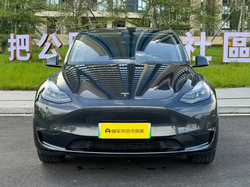 Model Y 2024 Long Range All-Wheel Drive — миниатюра 2