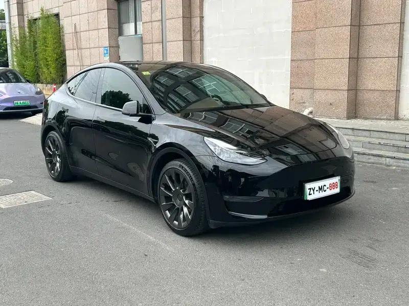 Model Y 2021 Standard Range Rear-Wheel Drive — миниатюра 3