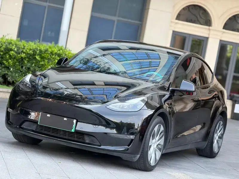 Model Y 2021 Standard Range Rear-Wheel Drive — миниатюра 1