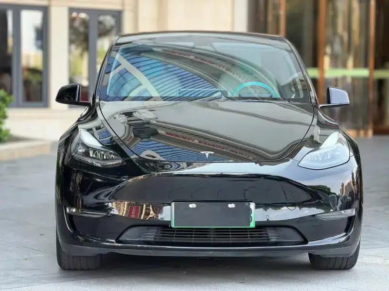 Model Y 2021 Standard Range Rear-Wheel Drive — миниатюра 2
