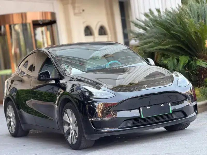 Model Y 2021 Standard Range Rear-Wheel Drive — миниатюра 3