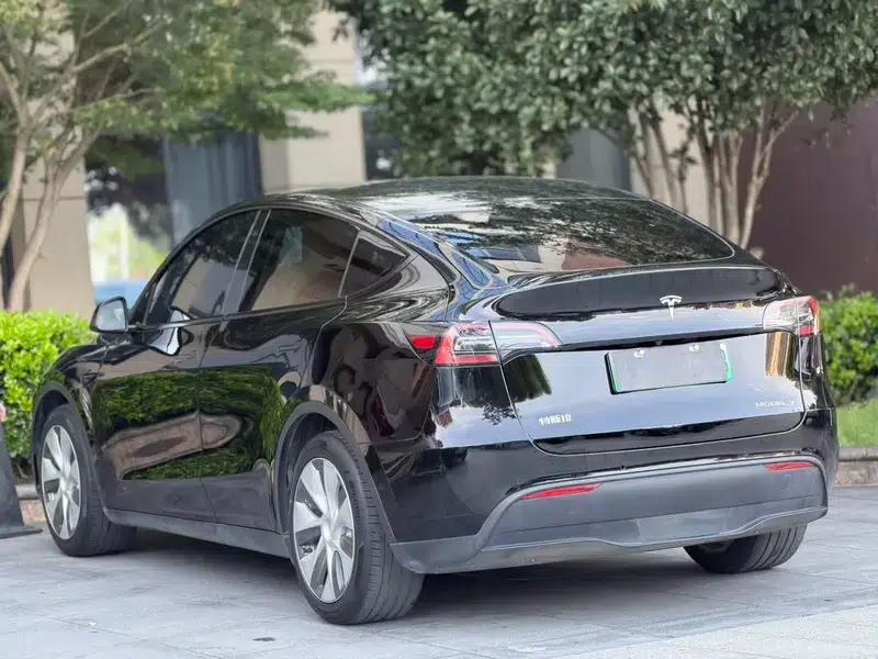 Model Y 2021 Standard Range Rear-Wheel Drive — миниатюра 4