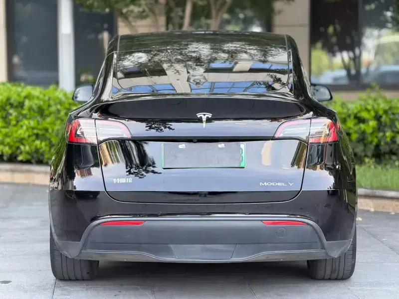 Model Y 2021 Standard Range Rear-Wheel Drive — миниатюра 5