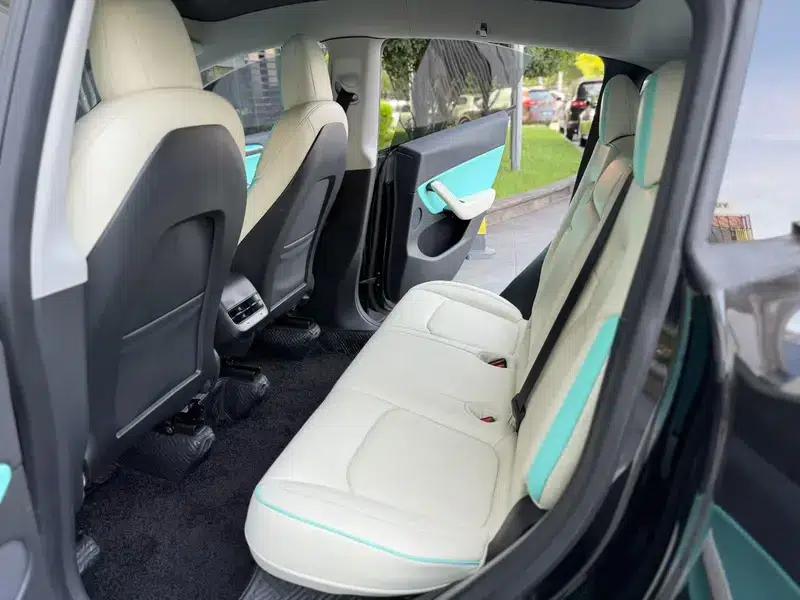 Model Y 2021 Standard Range Rear-Wheel Drive — миниатюра 10