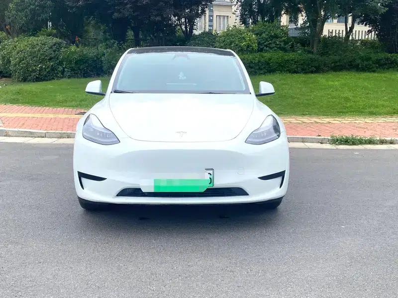 Model Y 2022 Long Range All-Wheel Drive — миниатюра 2