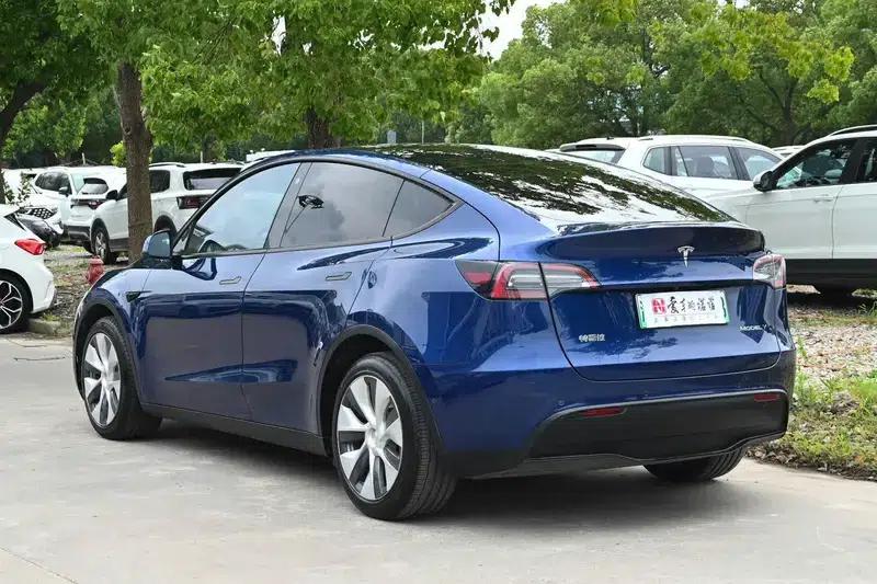 Model Y 2021 Long Range All-Wheel Drive 3D3/3D7 — миниатюра 5