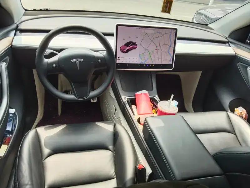 Model Y 2021 Standard Range Rear-Wheel Drive — миниатюра 9