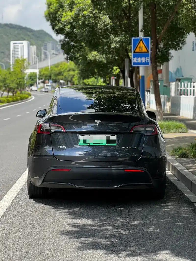 Model Y 2024 Rear-Wheel Drive — миниатюра 3