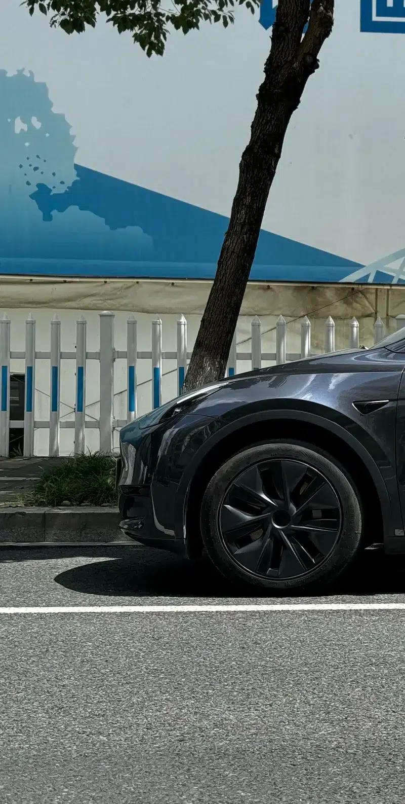 Model Y 2024 Rear-Wheel Drive — миниатюра 6