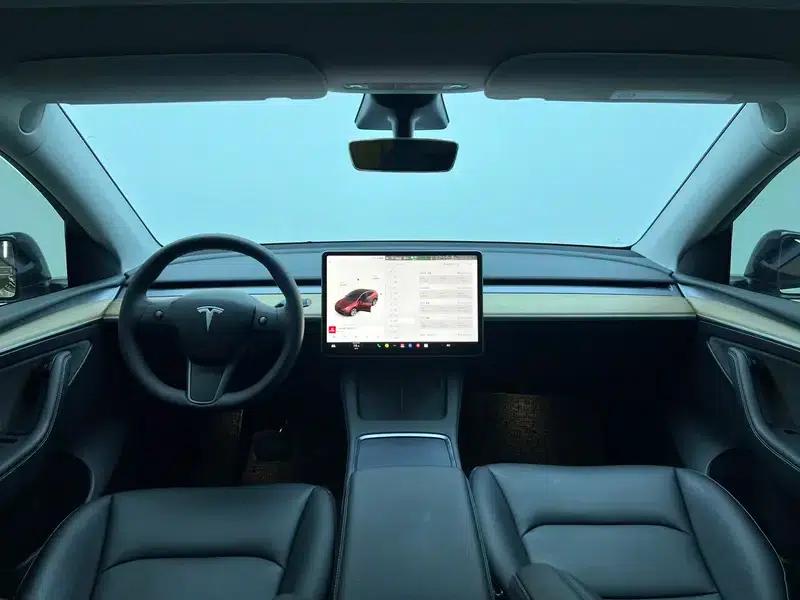 Model Y 2021 Standard Range Rear-Wheel Drive — миниатюра 14