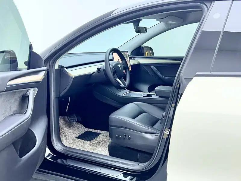 Model Y 2021 Standard Range Rear-Wheel Drive — миниатюра 17