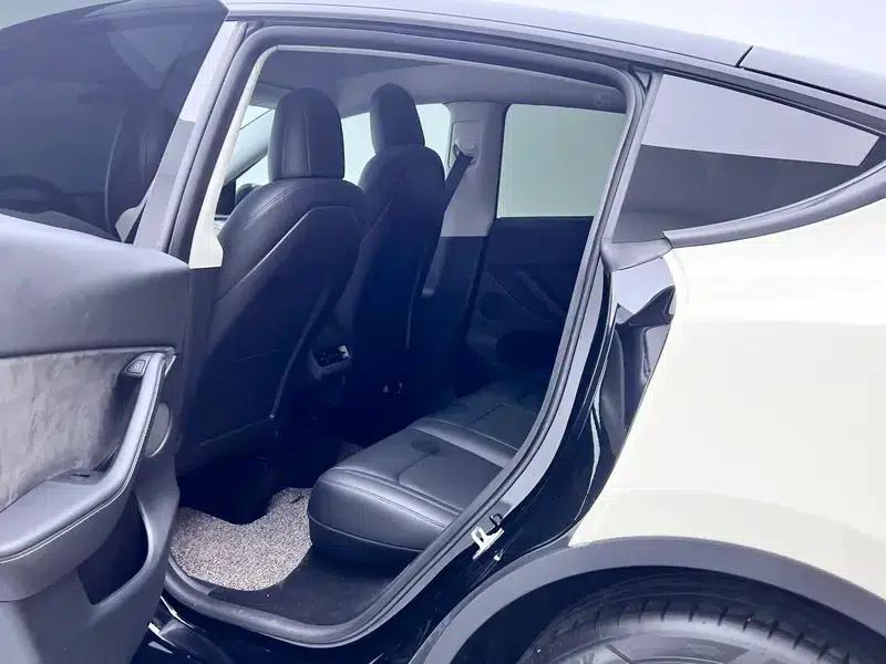 Model Y 2021 Standard Range Rear-Wheel Drive — миниатюра 18