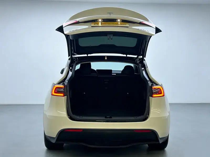 Model Y 2021 Standard Range Rear-Wheel Drive — миниатюра 20