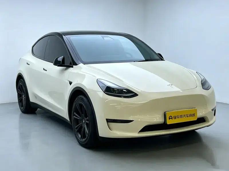 Model Y 2021 Standard Range Rear-Wheel Drive — миниатюра 3