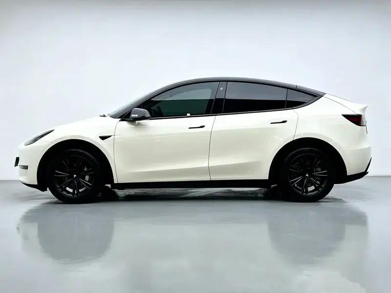 Model Y 2021 Standard Range Rear-Wheel Drive — миниатюра 4