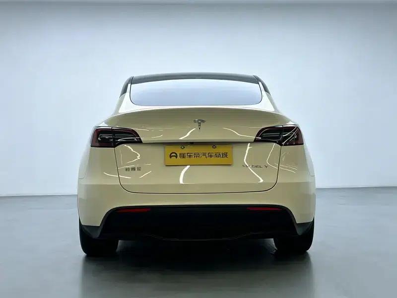 Model Y 2021 Standard Range Rear-Wheel Drive — миниатюра 6