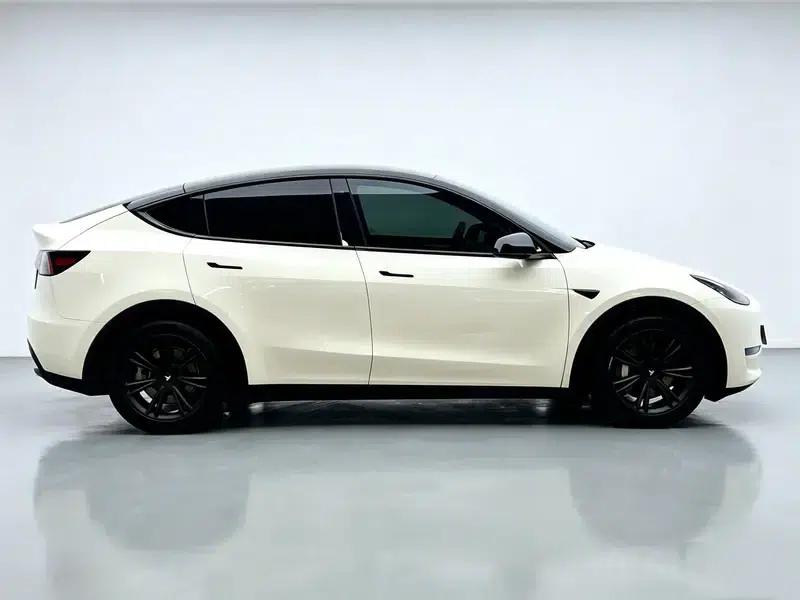 Model Y 2021 Standard Range Rear-Wheel Drive — миниатюра 8