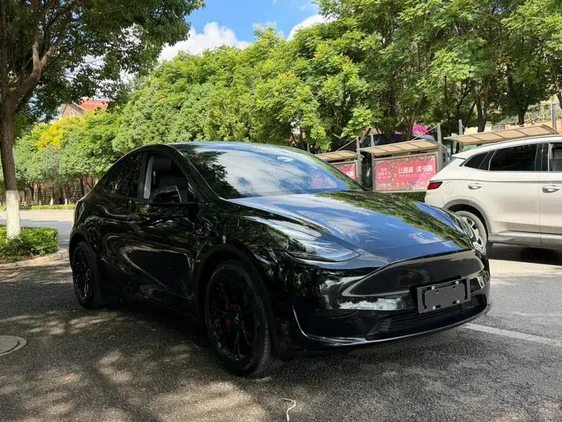Model Y 2022 Facelift Rear-Wheel Drive Version — миниатюра 3