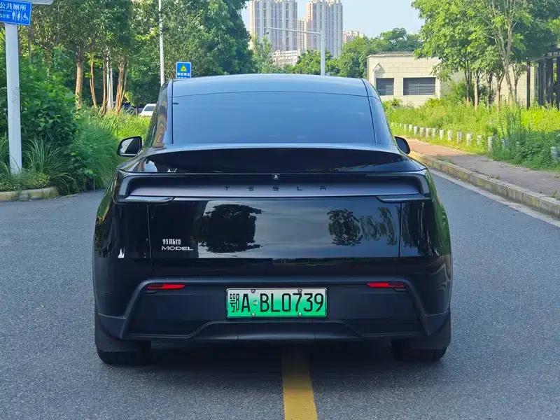Model Y 2025 Rear-Wheel Drive — миниатюра 5