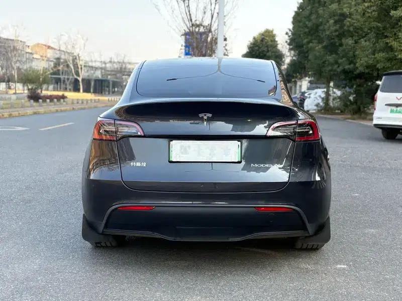 Model Y 2024 Rear-Wheel Drive — миниатюра 5