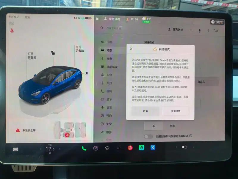 Model 3 2022 Performance All-Wheel Drive — миниатюра 13
