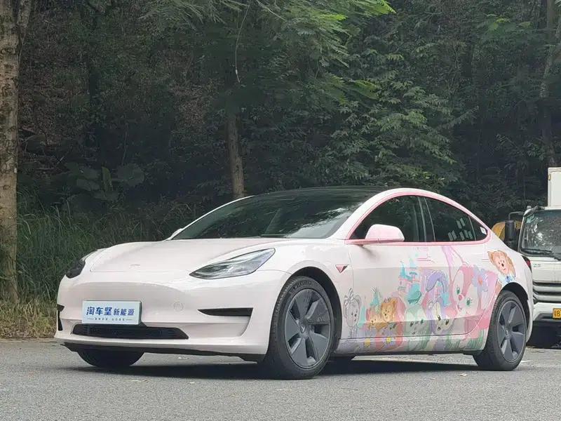 Model 3 2022 Rear-Wheel Drive — миниатюра 1
