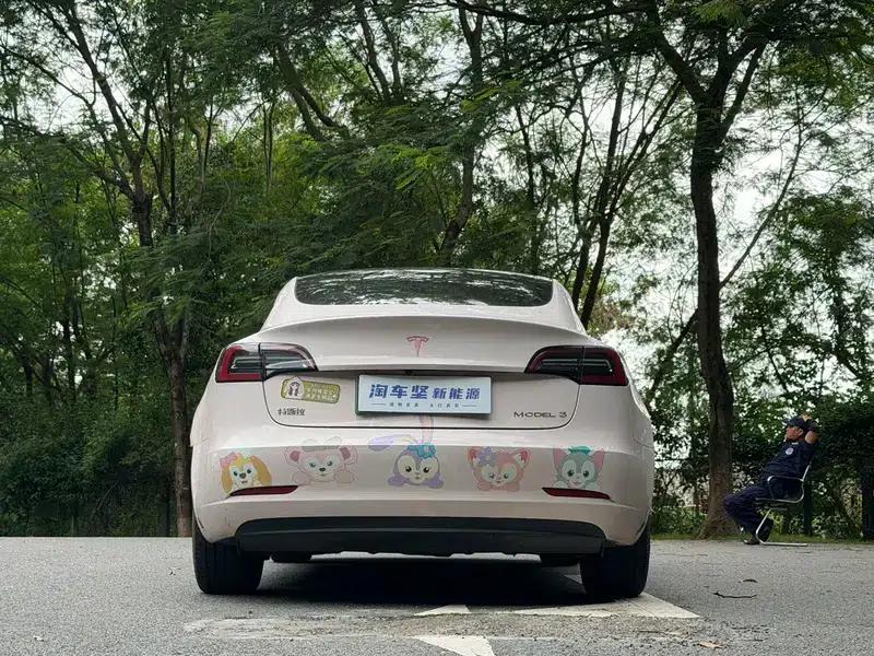 Model 3 2022 Rear-Wheel Drive — миниатюра 4